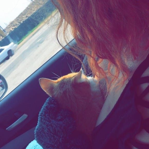 Meet your Posher, Yami - Picture 1 of 1